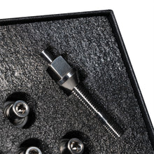 Load image into Gallery viewer, Photo - Primary