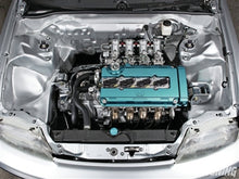 Load image into Gallery viewer, Photo - Primary